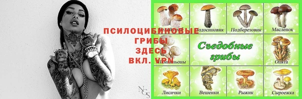 соль ск Алексеевка