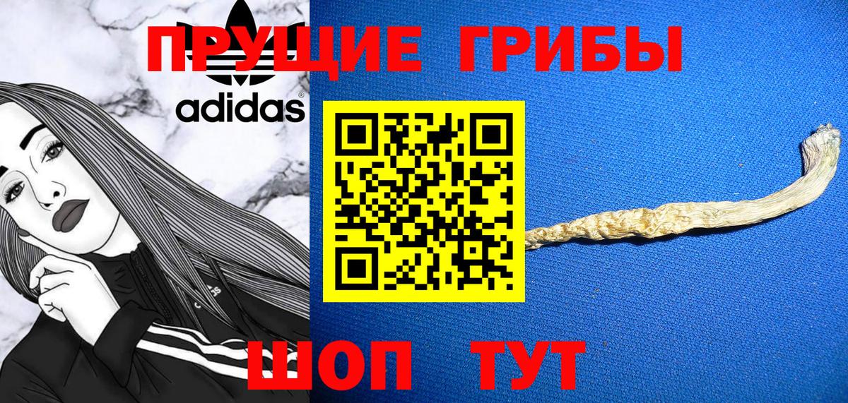 Лесосибирск  что такое наркотик  Вход с VPN  Галлюциногенные грибы мицелий 
