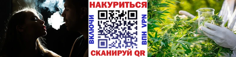 закладка Лесосибирск Конопля SATIVA & INDICA